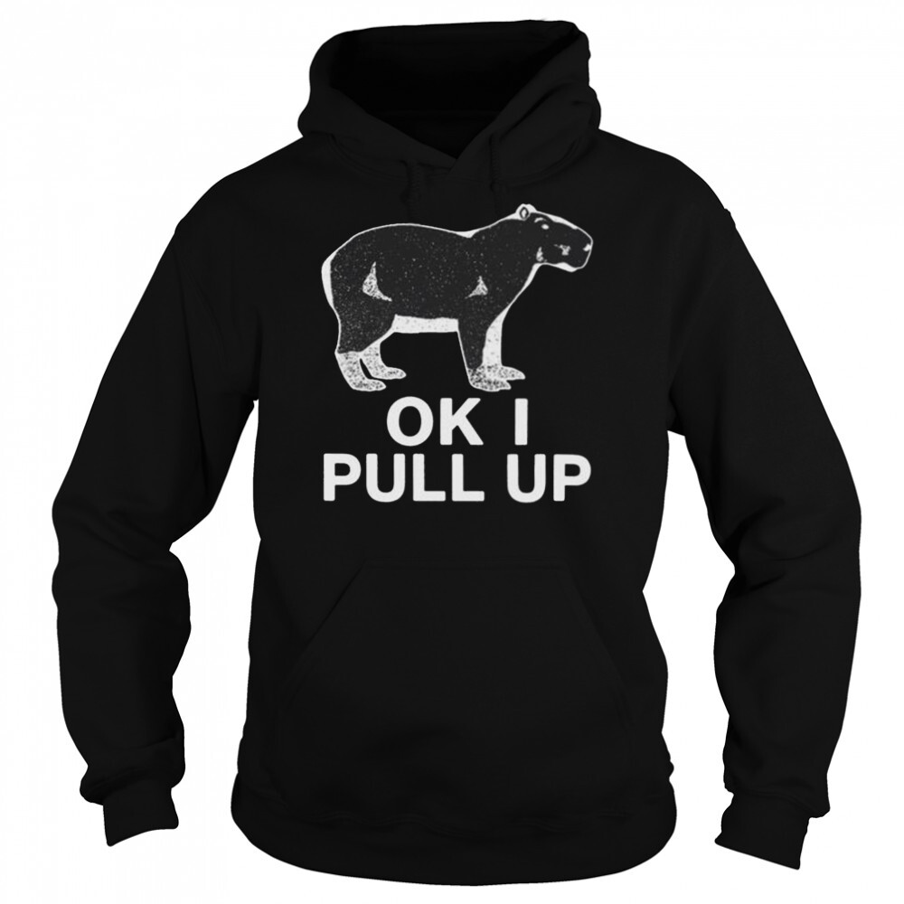 Capybaraman Ok I Pull Up 2022 Shirt 5 Hoodie shirts