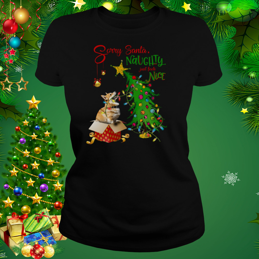 Corgi Sorry Santa Naughty Just Feels Nice Christmas Tree Light 2 Women's tshirt