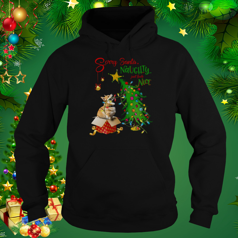Corgi Sorry Santa Naughty Just Feels Nice Christmas Tree Light 5 Hoodie tshirt