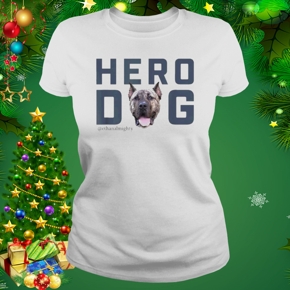 Hero dog ethan almighty vintage shirt 2 Women's shirt