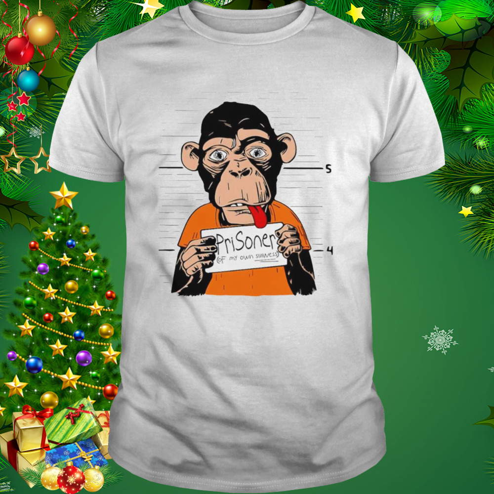 Prisoner of my own silliness shirt 1 Unisex shirt