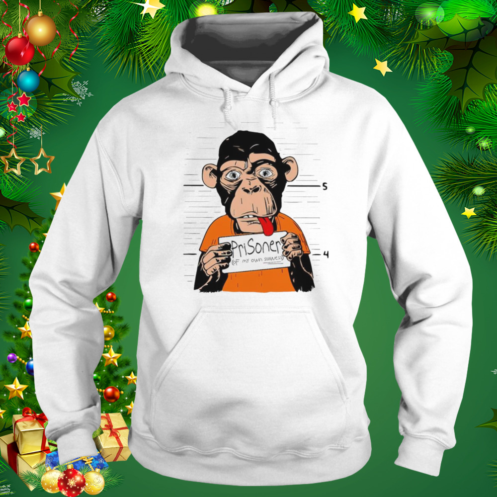 Prisoner of my own silliness shirt 5 Hoodie shirt