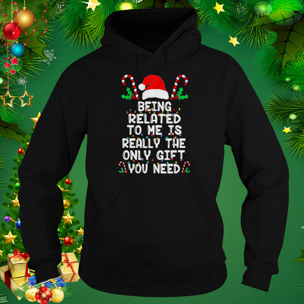 Being Related To Me Christmas Pajama Family Xmas Holiday T-Shirt 5 Hoodie tshirt