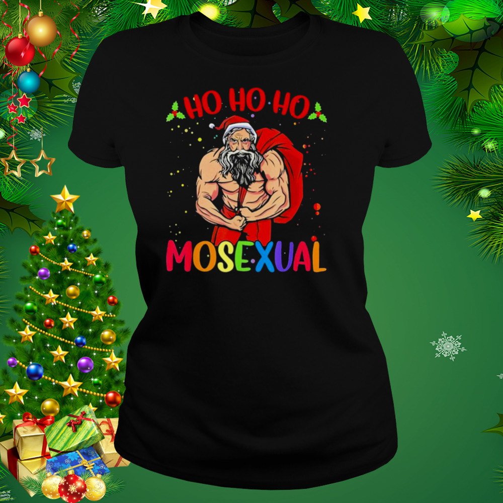 Ho ho ho mosexual gay santa LGBT gay pride Christmas T-shirt 2 Women's tshirt