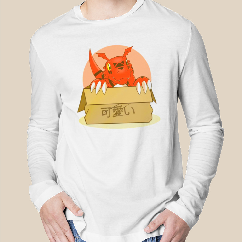 Long Sleeved