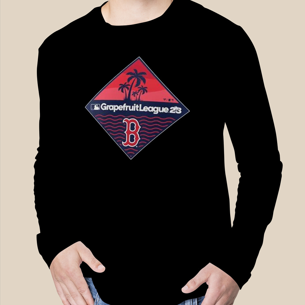 Boston Red Sox Major league baseball team logo 2023 shirt, hoodie, sweater,  long sleeve and tank top