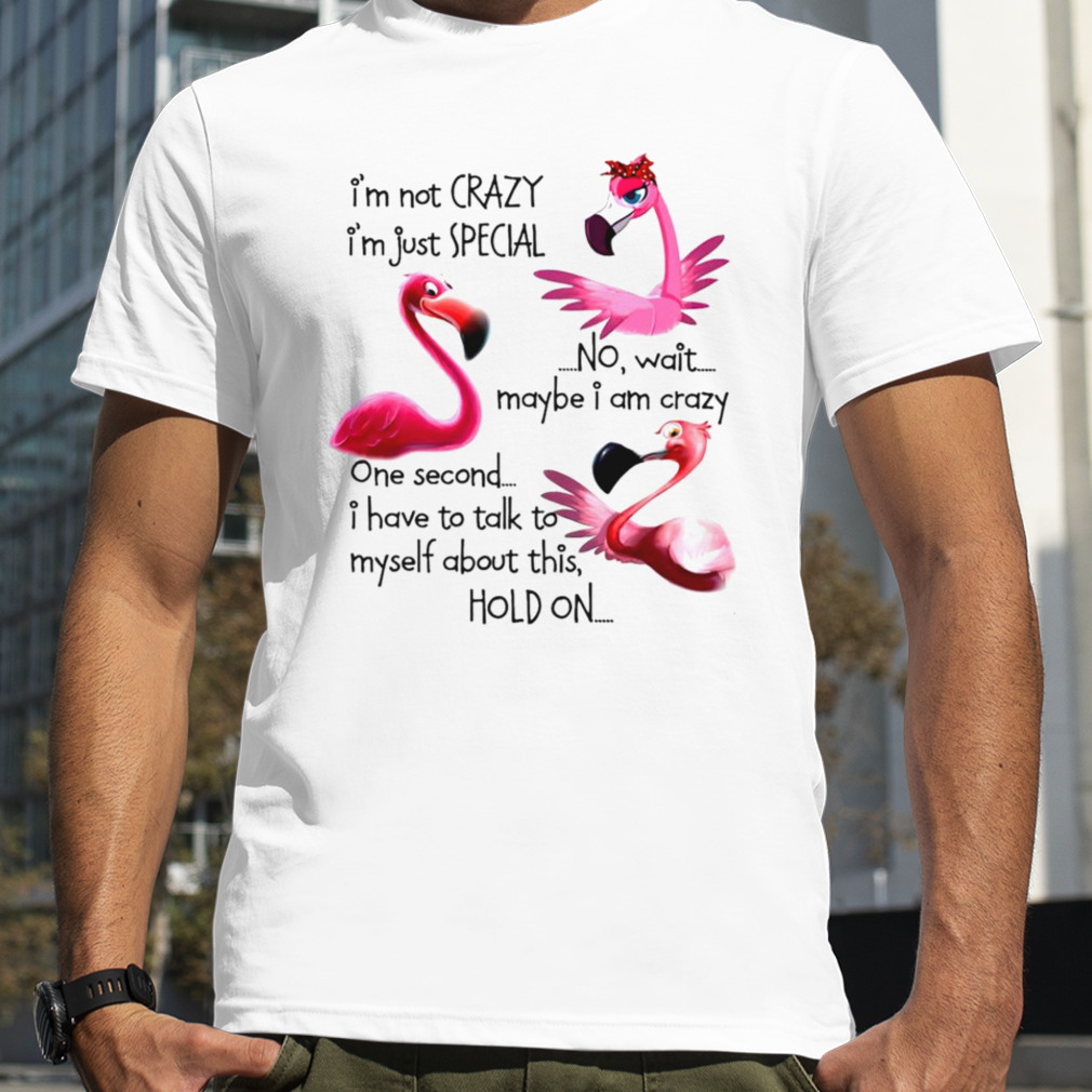 Flamingo I’m not crazy I’m just special no wait maybe I am crazy shirt
