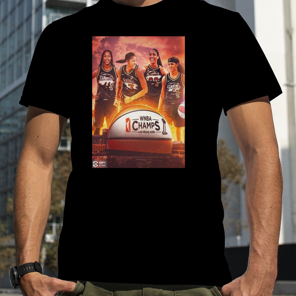 From SEC To 2023 WNBA Champions T-Shirt